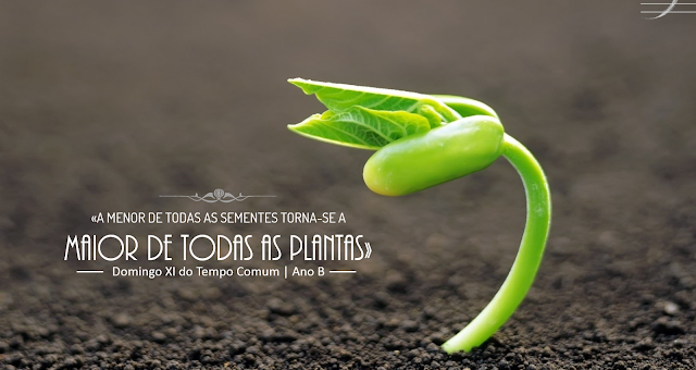 DOMINGO XI DO TEMPO COMUM Ano B | 13 de Junho de 2021