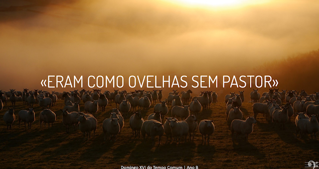 DOMINGO XVI DO TEMPO COMUM – 18 de Julho de 2021 | Ano B