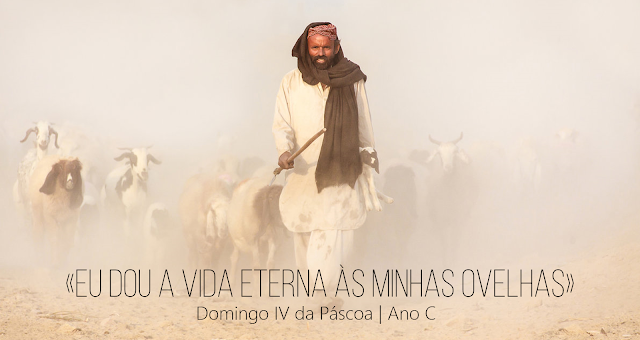 DOMINGO IV DA PÁSCOA                                                 08 de Maio de 2022 | Ano C